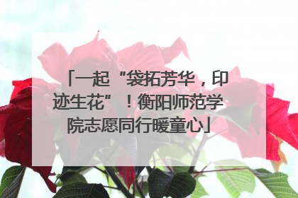 一起“袋拓芳华，印迹生花”！衡阳师范学院志愿同行暖童心