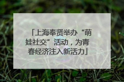 上海奉贤举办“萌娃社交”活动，为青春经济注入新活力