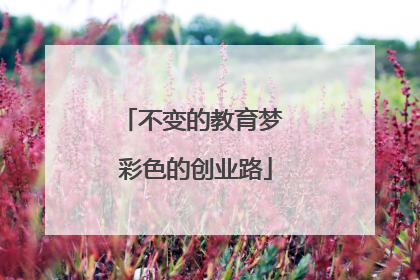 不变的教育梦 彩色的创业路
