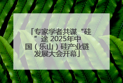 专家学者共谋“硅”途 2025年中国（乐山）硅产业链发展大会开幕