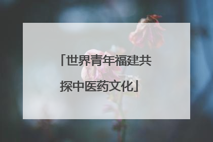 世界青年福建共探中医药文化