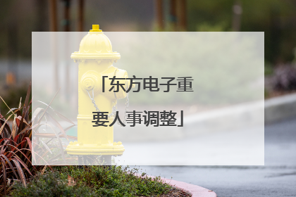 东方电子重要人事调整