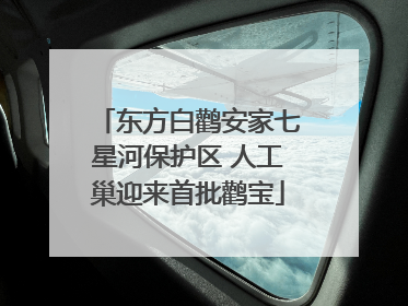 东方白鹳安家七星河保护区 人工巢迎来首批鹳宝