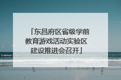 东昌府区省级学前教育游戏活动实验区建设推进会召开