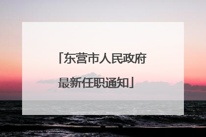 东营市人民政府最新任职通知