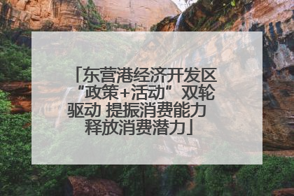 东营港经济开发区“政策+活动”双轮驱动 提振消费能力 释放消费潜力