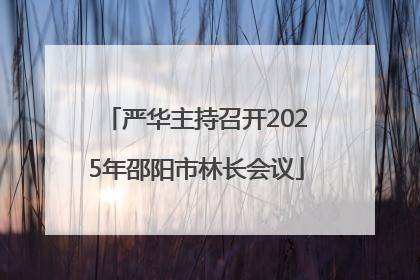 严华主持召开2025年邵阳市林长会议