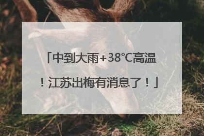 中到大雨+38℃高温！江苏出梅有消息了！