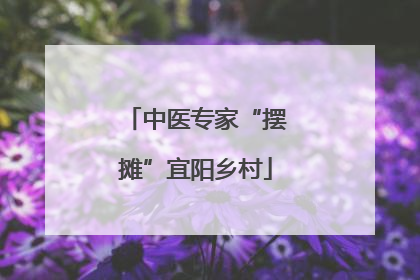 中医专家“摆摊”宜阳乡村