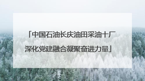 中国石油长庆油田采油十厂深化党建融合凝聚奋进力量