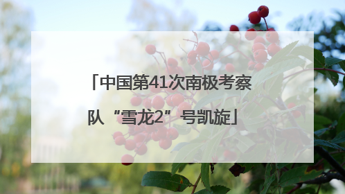 中国第41次南极考察队“雪龙2”号凯旋