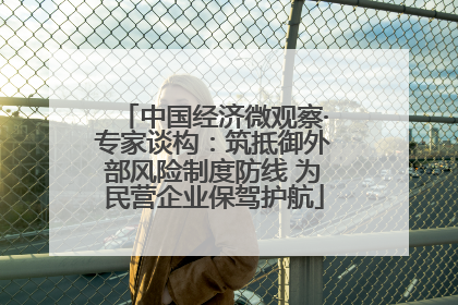 中国经济微观察·专家谈构：筑抵御外部风险制度防线 为民营企业保驾护航