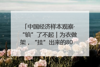 中国经济样本观察·“镇”了不起｜为衣做架，“挂”出来的80亿元“衣架产业”