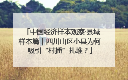 中国经济样本观察·县域样本篇｜四川山区小县为何吸引“村播”扎堆？