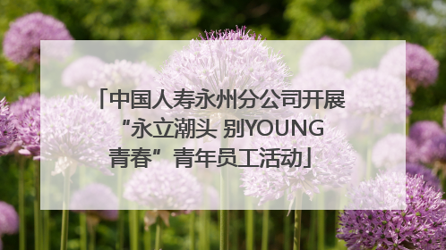 中国人寿永州分公司开展“永立潮头 别YOUNG青春”青年员工活动