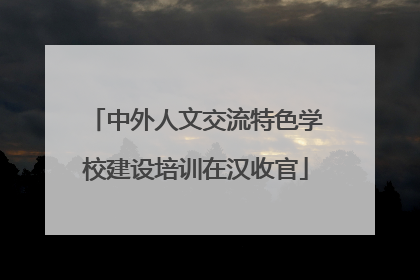 中外人文交流特色学校建设培训在汉收官