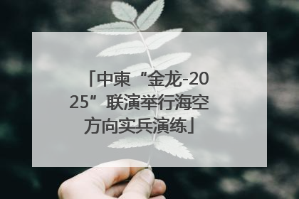 中柬“金龙-2025”联演举行海空方向实兵演练