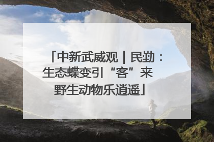 中新武威观｜民勤：生态蝶变引“客”来 野生动物乐逍遥