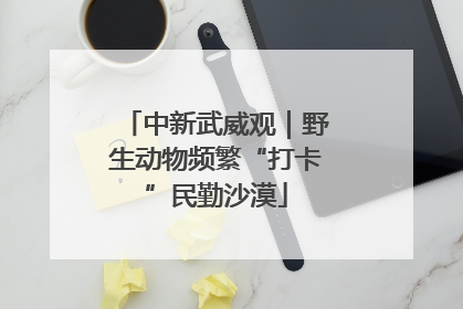 中新武威观｜野生动物频繁“打卡”民勤沙漠