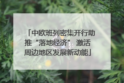 中欧班列密集开行助推“落地经济” 激活周边地区发展新动能