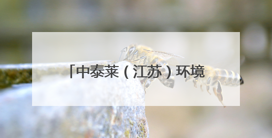 中泰莱（江苏）环境有限公司：危险废物“重生”的绿色密码