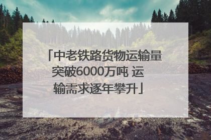 中老铁路货物运输量突破6000万吨 运输需求逐年攀升