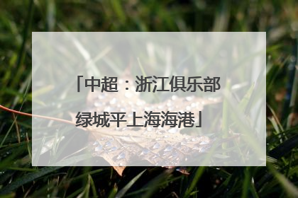 中超：浙江俱乐部绿城平上海海港