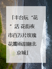丰台玩“花”活 花街夜市百万片玫瑰花瓣雨甜翻北京城