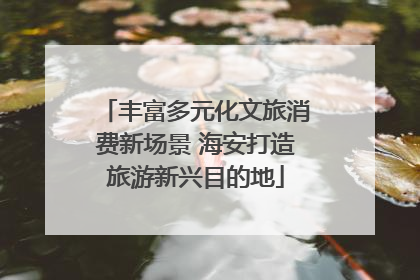 丰富多元化文旅消费新场景 海安打造旅游新兴目的地