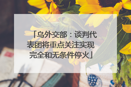 乌外交部：谈判代表团将重点关注实现完全和无条件停火