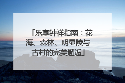 乐享钟祥指南：花海、森林、明显陵与古村的完美邂逅