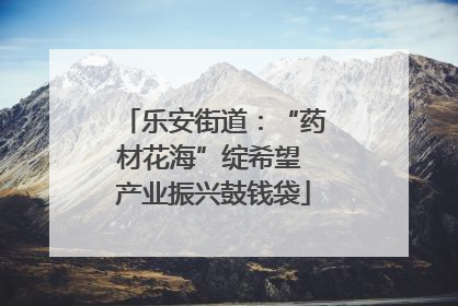 乐安街道：“药材花海”绽希望 产业振兴鼓钱袋