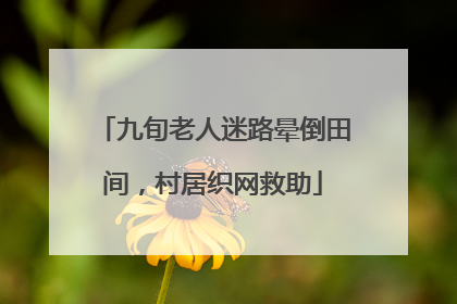 九旬老人迷路晕倒田间，村居织网救助