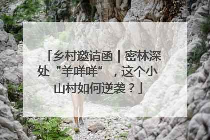 乡村邀请函｜密林深处“羊咩咩”，这个小山村如何逆袭？
