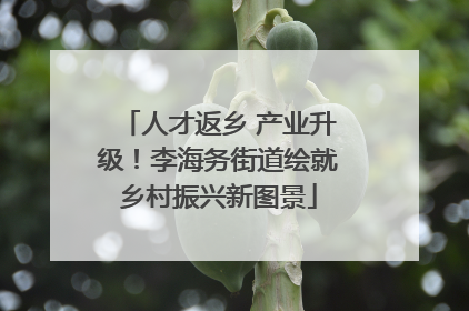 人才返乡 产业升级！李海务街道绘就乡村振兴新图景