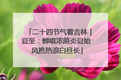 二十四节气看吉林｜夏至：蝉唱浓荫炎夏始 风携热浪白昼长