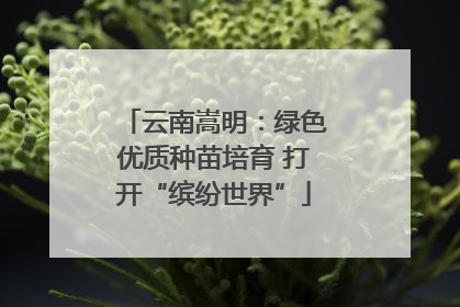 云南嵩明：绿色优质种苗培育 打开“缤纷世界”