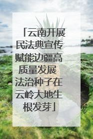 云南开展民法典宣传赋能边疆高质量发展 法治种子在云岭大地生根发芽