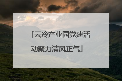 云冷产业园党建活动聚力清风正气