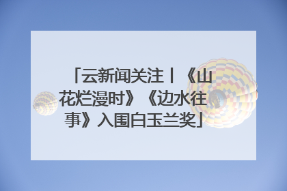 云新闻关注丨《山花烂漫时》《边水往事》入围白玉兰奖