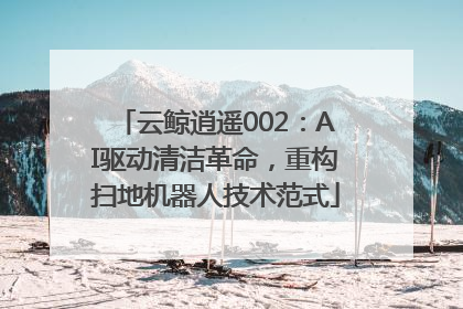 云鲸逍遥002：AI驱动清洁革命，重构扫地机器人技术范式