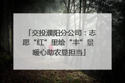 交投濮阳分公司：志愿“红”里绘“丰”景 暖心助农显担当