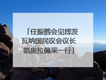 任振鹤会见博茨瓦纳国民议会议长凯奥拉佩采一行