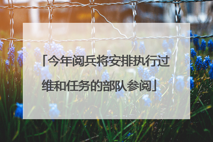 今年阅兵将安排执行过维和任务的部队参阅
