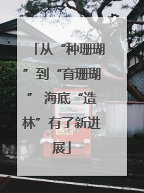 从“种珊瑚”到“育珊瑚” 海底“造林”有了新进展