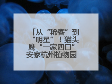 从“稀客”到“明星”！猫头鹰“一家四口”安家杭州植物园背后的守护