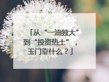 从“一油独大”到“投资热土”，玉门靠什么？