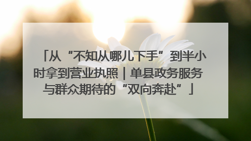 从“不知从哪儿下手”到半小时拿到营业执照｜单县政务服务与群众期待的“双向奔赴”