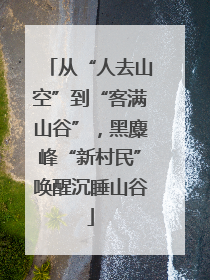 从“人去山空”到“客满山谷”，黑麋峰“新村民”唤醒沉睡山谷