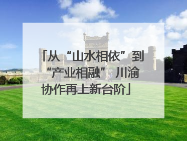 从“山水相依”到“产业相融” 川渝协作再上新台阶